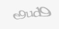 Código de segurança