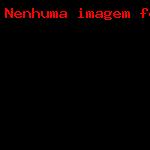 Aberturas- Closes vaginais (20)