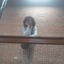 Jackie