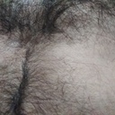 Fotos de perfil